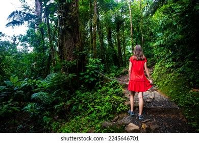Thousand Hiking Bikini Girl Royalty Free Images Stock Photos Pictures Shutterstock