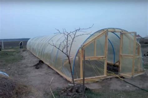 Бюджетная теплица из труб ПВХ | Теплица, Труба, Строительство
