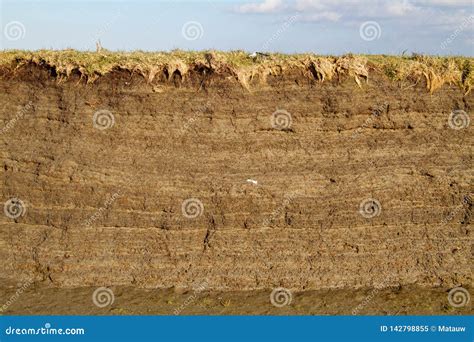 Soil Profile In Tidal Marsh Stock Image Image Of Erosion Debris