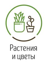 Купить саженцы в Казани недорого, продажа саженцев в интернет-магазине ...