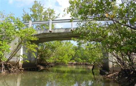 West Lake Park kayaking: A precious bit of nature in Broward