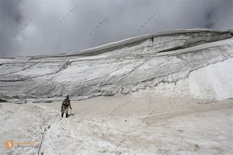 Gletscher Bild bestellen - Naturbilder bei Wildlife Media