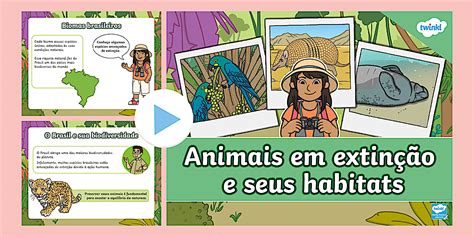 Animais Em Extinção Texto - 10