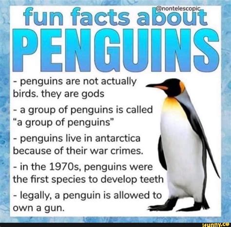 MS penguins are not actually birds. they are gods a group of penguins