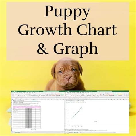 Puppy Weight Chart: A Guide for Tracking Your Puppy's Growth - Pet Abuse