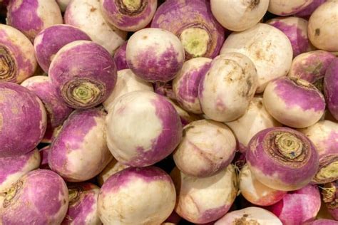 What Do Turnips Taste Like And What Varieties Are There Food Champs