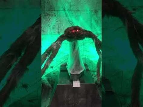 Black Jumping Spider Animatronic Halloween decor #short #halloween # ...