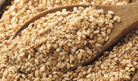 Gomasio, cos’è e come si usa in cucina | Le Guide di AIA