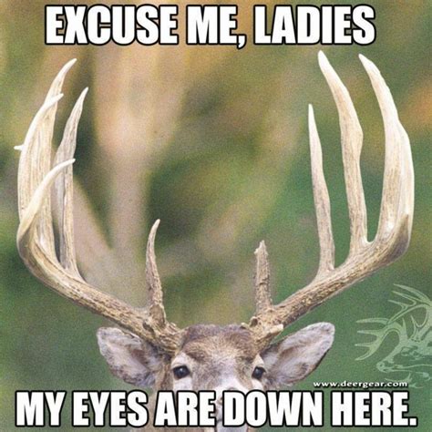 Funny Deer Jokes