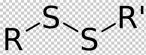 disulfide bond deusylffid functional group covalent bond chemistry png