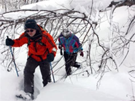 Winter Forest Snowshoe Trekking To Kasumi Waterfall Tours Activities