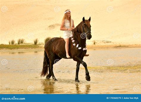 Ragazza Che Cavalca Il Suo Favoloso Cavallo Frisone Immagine Stock