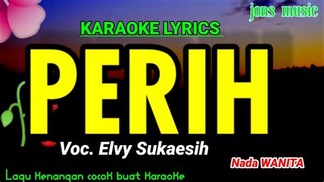 Karaoke Dangdut Perih Elvy Sukaesih Nada Wanita Jonsmusic