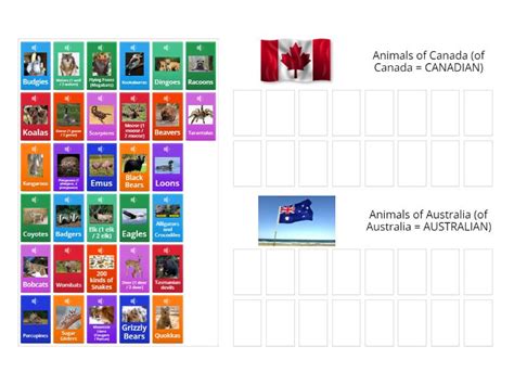 Canadian Animals Vs Australian Animals Group Sort