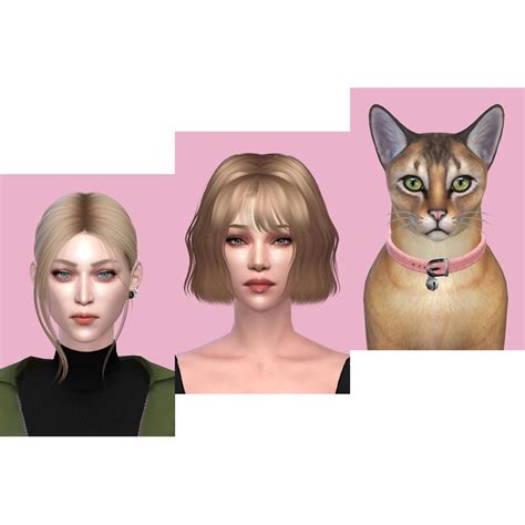 Annie, Hitch and their cat. They’re roommates but they share a bed