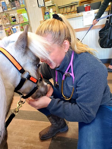Dr. Nicole Arcy Is that a cookie... - Fred-Mini Service Horse | Facebook