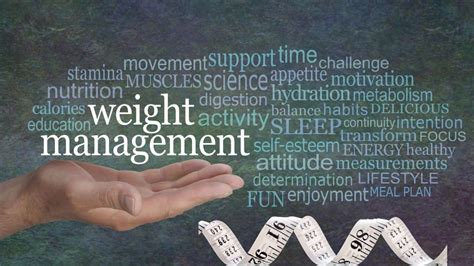 energize  weight management regimen   minutes woms