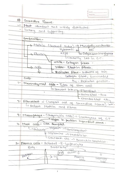 SOLUTION: Connective tissue and its types - Studypool