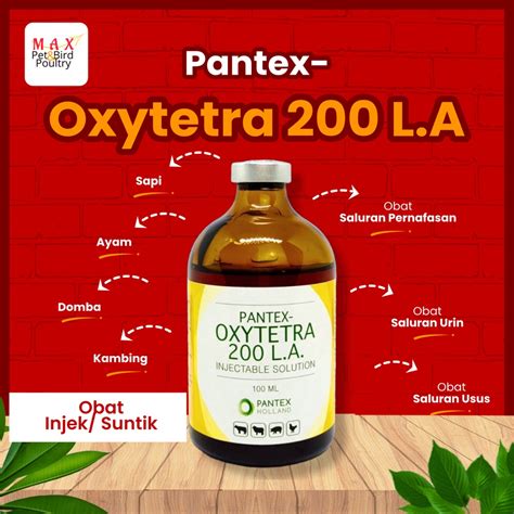 Jual Pantex Oxytetra 200 L A 100ml Obat Injek Untuk Sapi Kambing Domba