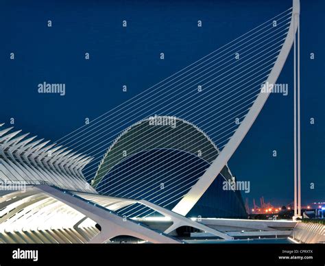 City of Arts and Sciences designed by Santiago Calatrava Valencia ...