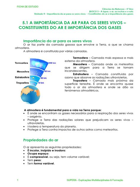 A Importancia Do Ar Para Os Seres Vivos - Importância do Ar para os Seres Vivos | PDF | Combustão | Atmosfera