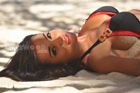 Amy Jackson Hot Bikini Photos 04 93031 Kollywood Zone