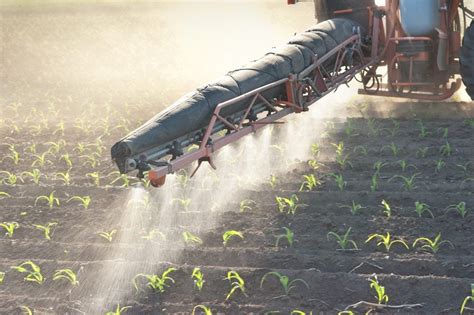 Move Over Chemical Fertilizers Microbes May Reduce The Need Agdaily