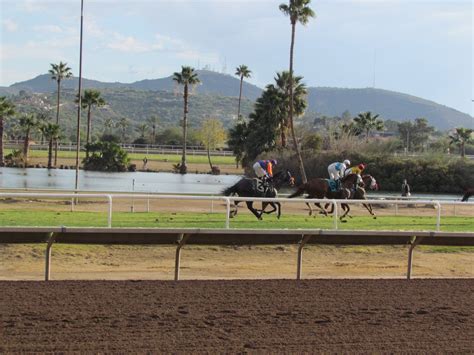 Turf Paradise on Twitter: "The sun has returned and so has live racing