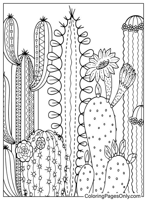 Cute Cacti And Succulents With Spines And Flowers Free Printable
