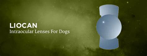 Liocan - AJL Ophthalmic