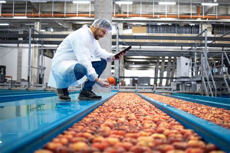 Crucial Role Of Quality Control In The Food Industry FICSI