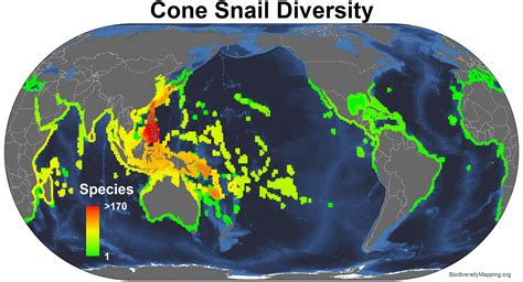 Mapping the Diversity of the World's Cone Snails