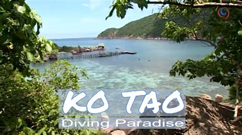 Ko Tao Thailands Diving Paradise Youtube