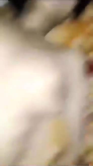 House Wife Sex Boyfriend