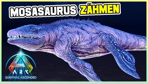 ARK Survival Ascended 64 Mosasaurus Tuso zähmen ASA Let s Play