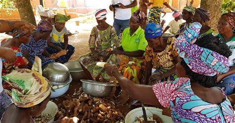 Togo: Aufbau ökologischer Landwirtschaft – GEMEINSAM FÜR AFRIKA