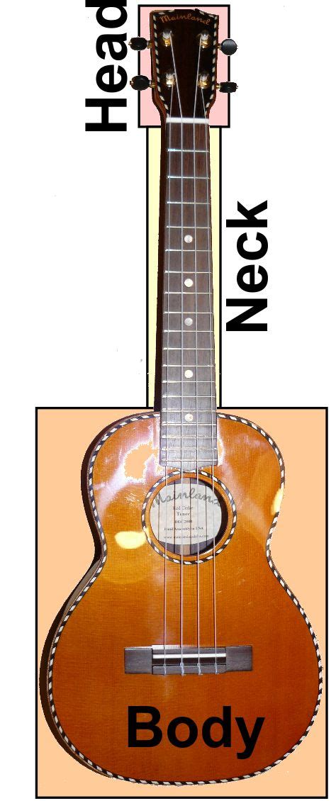 Ukulele Anatomy