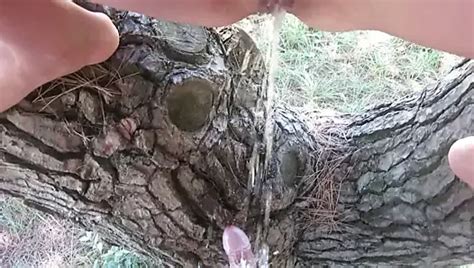 Ada Bojana Beach Sex Xhamster