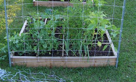 Сетка для огурцов: как сделать своими руками, установить и выращивать с ...