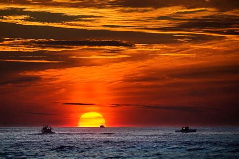 Olas De Calor Marinas El Efecto Devastador Del Cambio Climático En Los