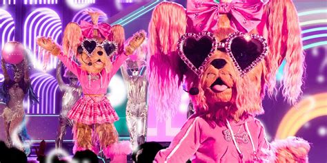 Who Is Yorkie On The Masked Singer Season 13? Clues, Guesses