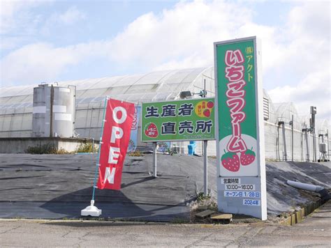 アクトいちごファーム 宇佐市の子連れで体験・イベント・おでかけ情報「little Oita（リトル大分）