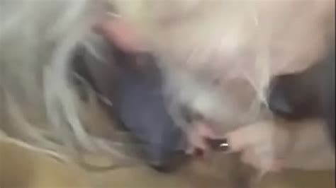 Best Dick Sucking Search XVIDEOS