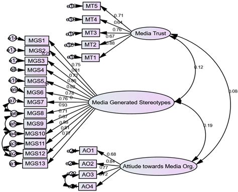 Examining the Effects of Media-Generated Stereotypes on Receivers