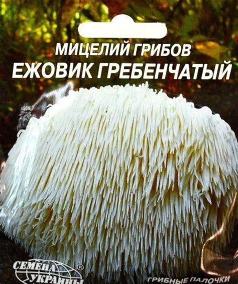 Ежовик "Гребенчатый" ТМ "Семена Украины" 10шт купить почтой в Одессе ...