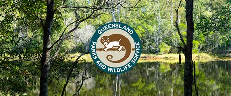 Design On Display Queensland Parks And Wildlife Services Aruga