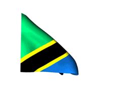 Tanzania Animated Flag Gifs Zebras Active Community E V