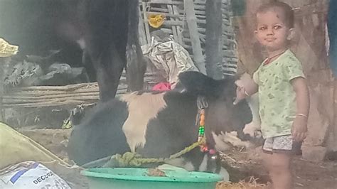 Gay Aur Bachche Ka Pyar YouTube