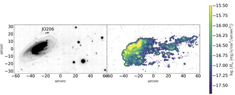 The jellyfish galaxy JO206, a massive (9 × 10 10 M) galaxy in a low ...