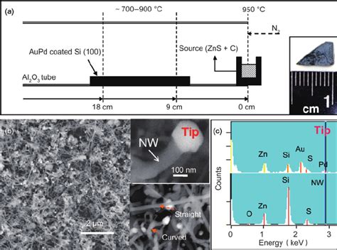 A A Schematic Diagram Of Substrate Positions For Zns Nanowire Download Scientific Diagram